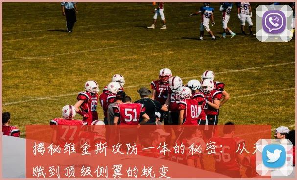 揭秘维金斯攻防一体的秘密:从天赋到顶级侧翼的蜕变